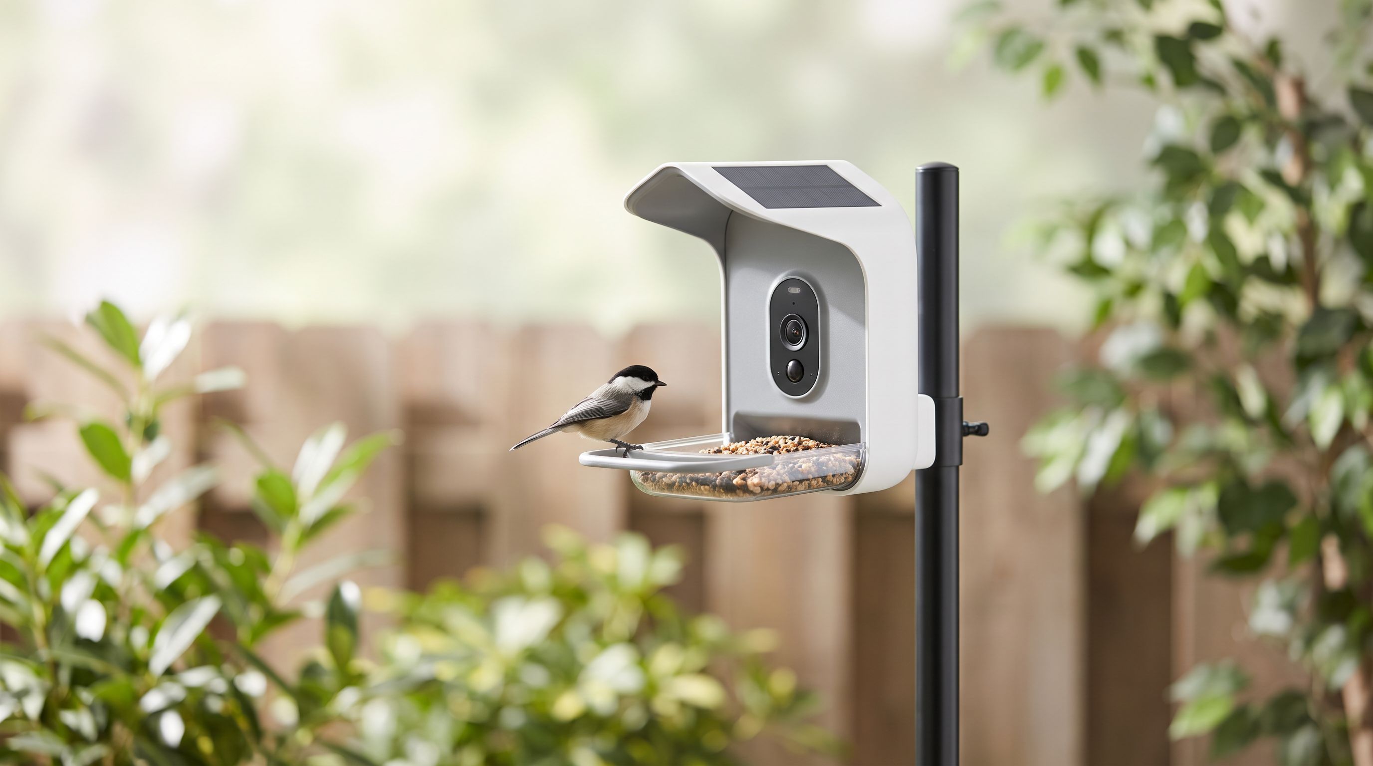 A solar-powered smart bird feeder camera mounted on a garden pole with a chickadee perched at the seed tray